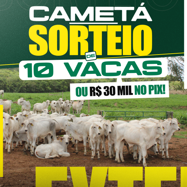 10 VACAS BRANCAS OU R$ 30.000,00 MIL NO PIX!